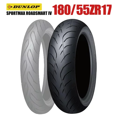 ⭐︎専用⭐︎ トリックスター / Ninja ZX-4R SE /ZX-4RR(24-25) 政府認証フル