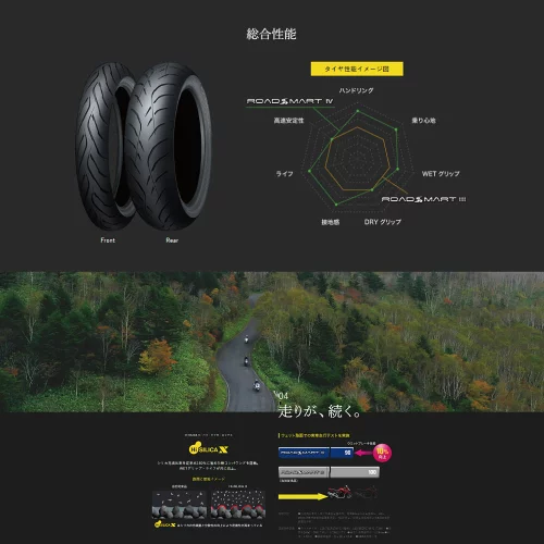 取寄商品】【同梱不可】ROADSMART Ⅳ 160/60ZR17 （69W）335892